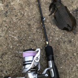 生口島エギング