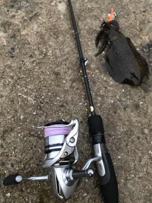 生口島エギング