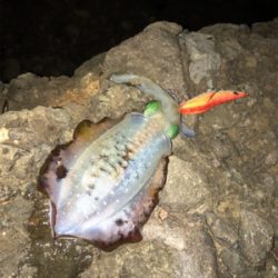 台風前の海が呼んでる!(^ ^)