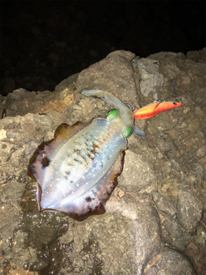 台風前の海が呼んでる!(^ ^)