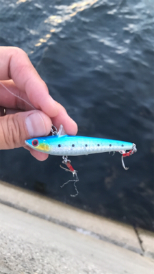 記録更新(息子)