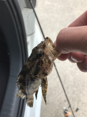 爆風ライトゲーム