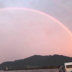 エギング台風前に