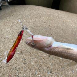 エソパーティー