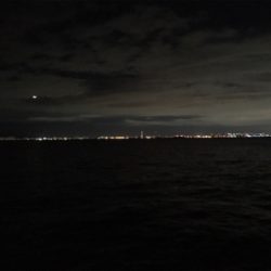 居るには居るが・・