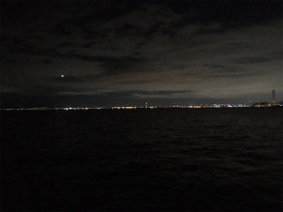 居るには居るが・・