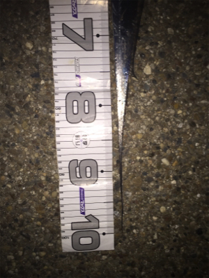 アタリ少ないですがやっと入ってきた!