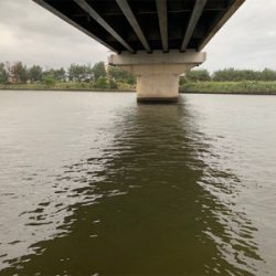 回遊シーバス ゲット