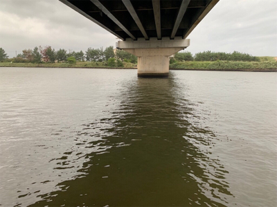 回遊シーバス ゲット