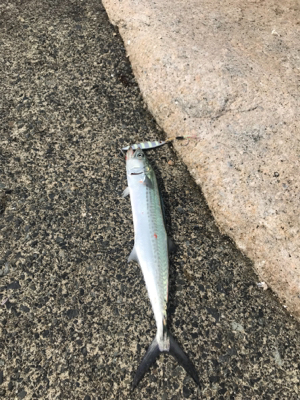 爆風と外道の嵐。