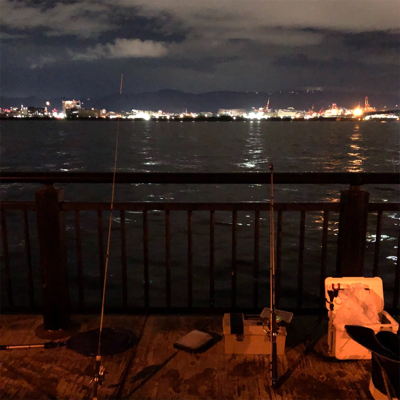 久々の神戸釣果！