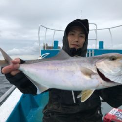 阿波哲 伊島沖便 近海ベイジギング