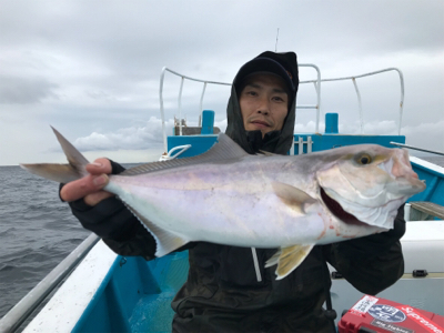 阿波哲 伊島沖便 近海ベイジギング