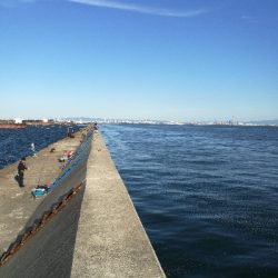 武庫一　夕まづめ釣行