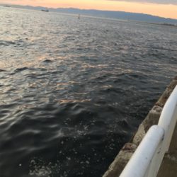 タチウオ開幕^ – ^