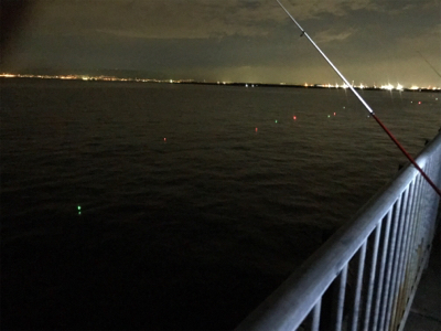 タチウオと大サバ