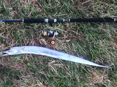 LSJigginger0515〜0555