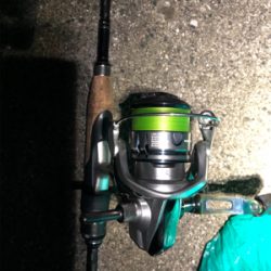 タチウオ いろいろな釣り方