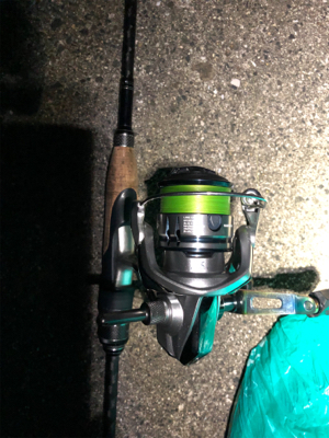 タチウオ いろいろな釣り方