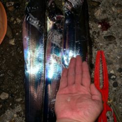 あと、2センチ、、