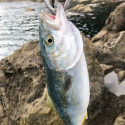 エギングの合間に