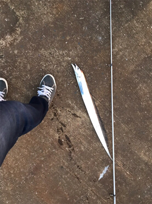 アジング＆タチウオ