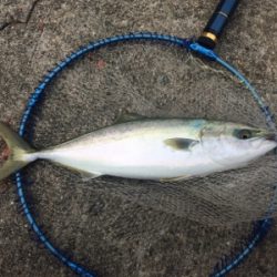 兄さん姉さん不在