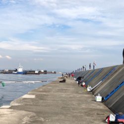 今季初タチウオ