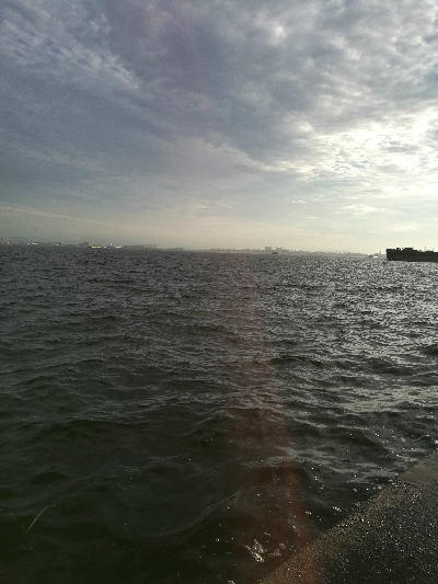 武庫一青物好調