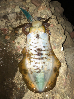 雨模様だけど、海が呼んでるんで♡