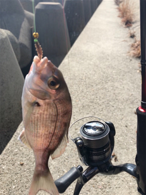 久しぶりのキス釣り(^^)