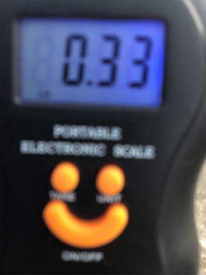 楽しいね エギング