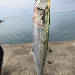 スーパーライト面白いっ!