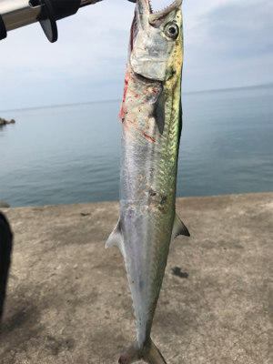 スーパーライト面白いっ!