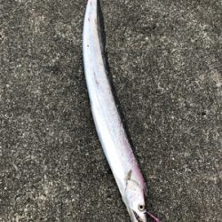 ショアジギング