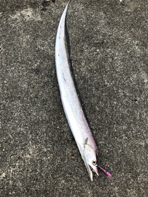 ショアジギング