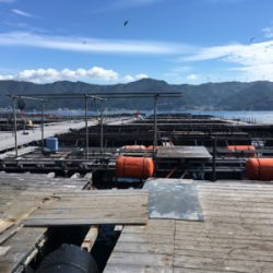 ファミリーフィッシング