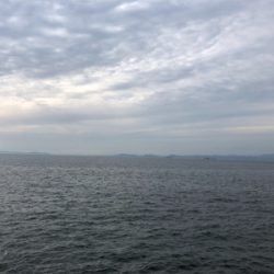 今週もタチウオへ