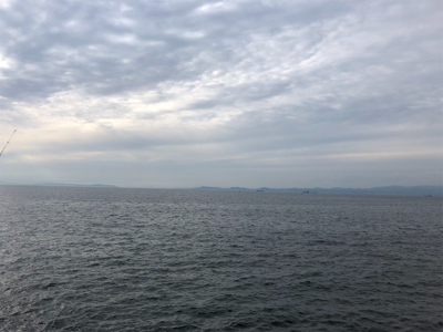 今週もタチウオへ