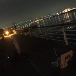 シブいですが、アタリはあり