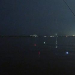 キャンプフィッシング