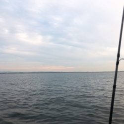 今シーズンの初タチ