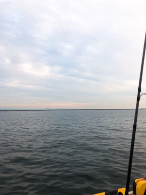 今シーズンの初タチ