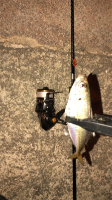 アジングでエサ釣ってからの飲ませでしたが…