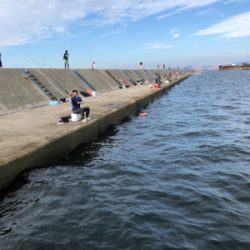 サワラって呼んでいいやんな？