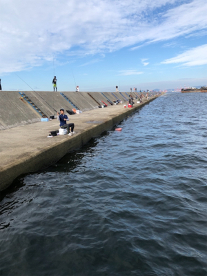 サワラって呼んでいいやんな？