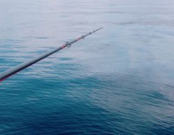 潮悪く、太刀の細君