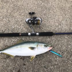 ショアジギング