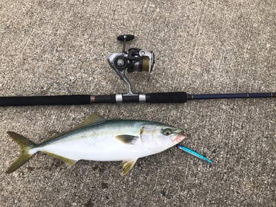 ショアジギング