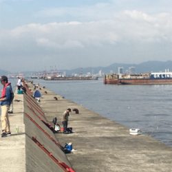 ライトショアジギング